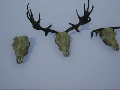 Animal Skulls and Antlers Low-poly 3D model