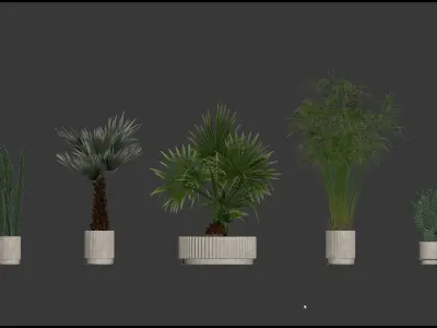 20 Photorealistic Flowers for Interiors - set 203 205 218 219 3D Model Collection