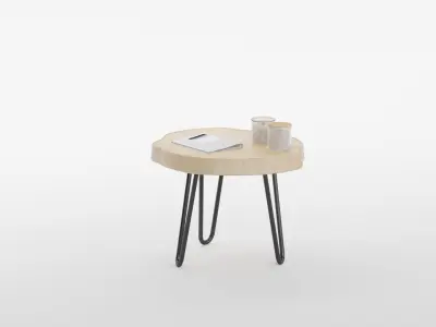 Coffee Table Set 02 3D model