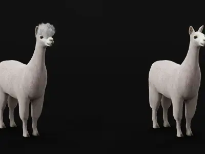 Llama Low-poly 3D model