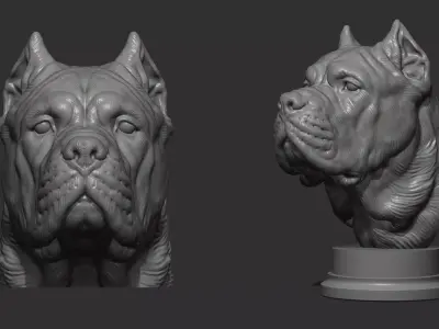 Canne Corso dog 3D print model