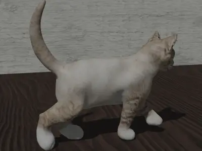 Blue eyed cat Low-poly 3D model