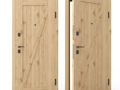 Afary Door 3D model