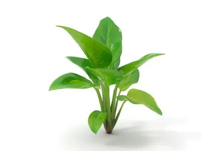 Lush Green Foliage model pack Low-poly 3D model
