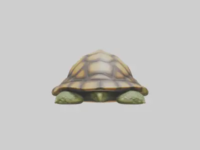 Sleeping Turtle Model Low-poly 3D model