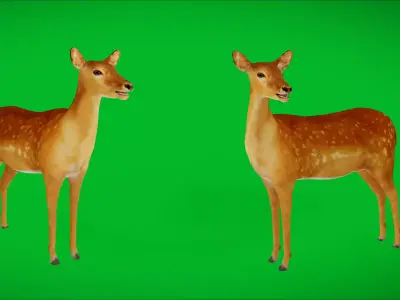 Female Fallow Deer Low-poly 3D model