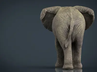 African Elephant Low-poly 3D model