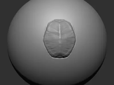 Dragon VDM Brushes 01 3D model