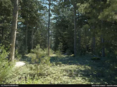 MAE Pine Forest - Unreal Engine Low-poly 3D model
