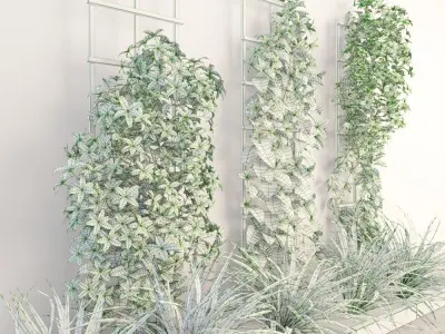 Wall flowers Low-poly 3D model