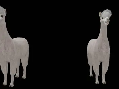 Llama Low-poly 3D model