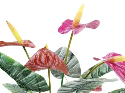 Red anthurium Plant in a decorative vase 3D model