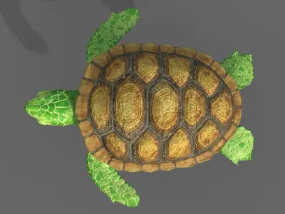 Turtle stylized Low-poly 3D model