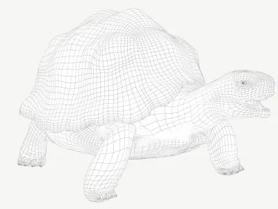 Radiated Tortoise Low-poly 3D model