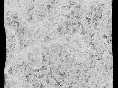 333-RockPanel sandstone wall texture 3D model