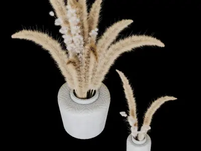 Pampase03 3D model