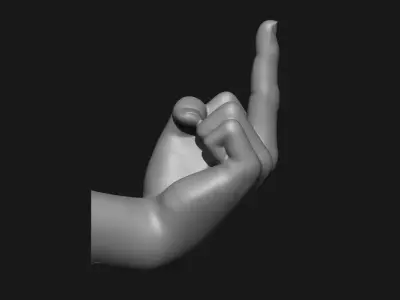 Middle Finger Printable Wall Art 3D print model