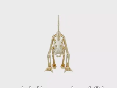 Stegosaurus Skeleton Realistic 3D Model Low-poly 3D model