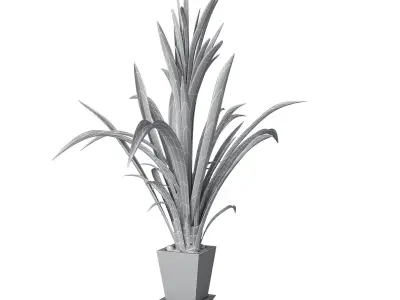 Houseplant collection 4 plant in pot 3D model