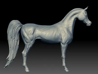 Arabian Horse 3D print model