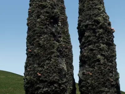 Tree cypress for distance view adapted for games  Low-poly 3D model