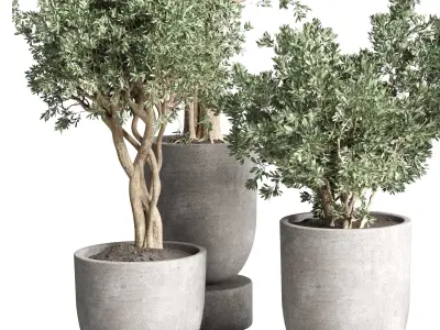 set indoor outdoor plant tree vase dirty concrete 3D model