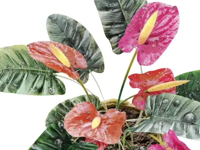 Red anthurium Plant in a decorative vase 3D model