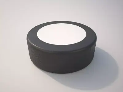 Puck Ball 3D model