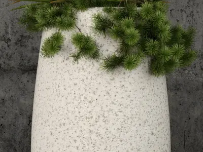 Plants collection 57 3D model