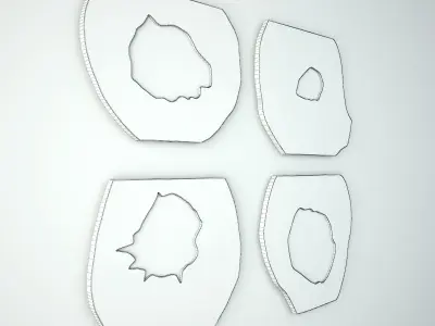 Organic Monkey Pod Mirrors 2 3D model