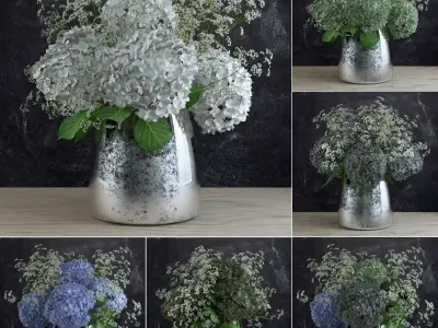 Bouquet of Gypsophila with Hyndrangeas 3D model