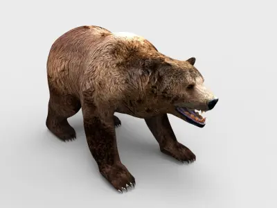 brown-bear animal 3d model  Low-poly 3D model