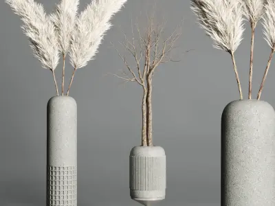  indoor plant pampas ficus rubbery dry tree concrete dirt vase 3D model