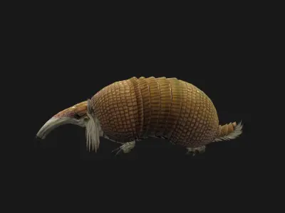 Armadillo Low-poly 3D model