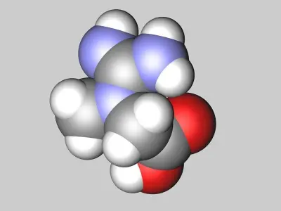 Creatine molecule 3D model