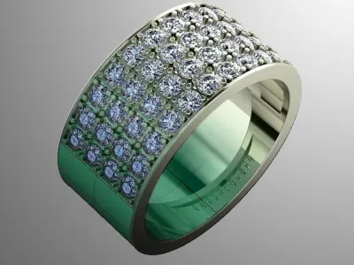 Ring bi 24 3D print model