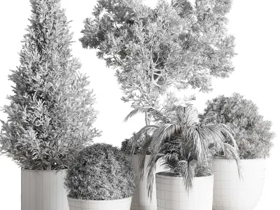 Collection Outdoor plant concrete dirt vase pot tree bush palm 3D model