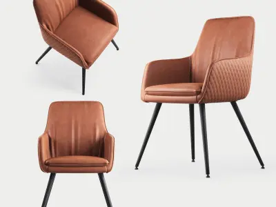 Renn Occasional leather Chair 3D model