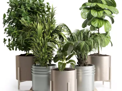 Indoor plnt 26- metal vase Low-poly 3D model