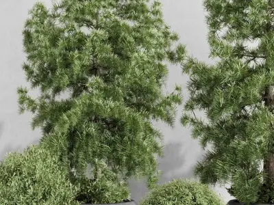 outdoor plant set 179 plant topiary tree pine grass vase Low-poly 3D model