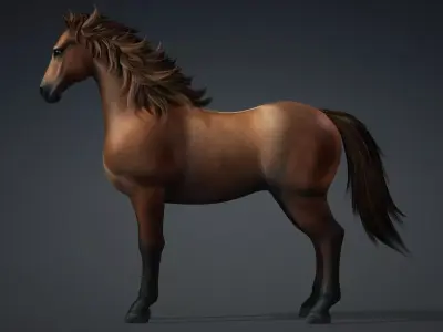 Horse-G1 3D model