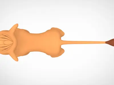 Tama Cub Low-poly 3D model