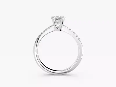 ZABS009B PS engagement 3D print model