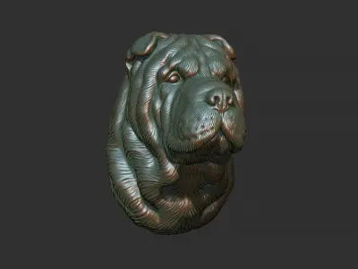 Shar Pei dog head 3D print model