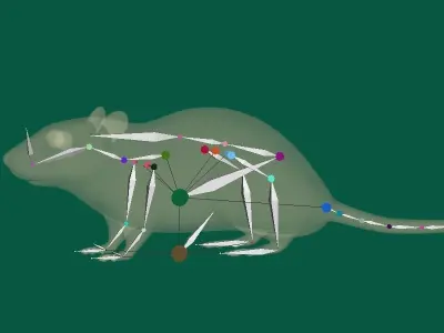 White Rat Low-poly 3D model