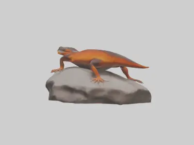Fire Skink basking model 3D model
