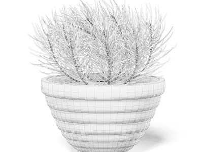 Plant in Black Pot 3D Model 3D model