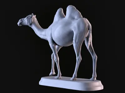 Camels  3D print model