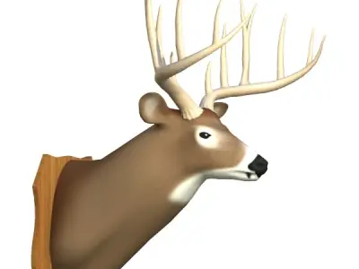 Mounted Deer Trophy 3D model