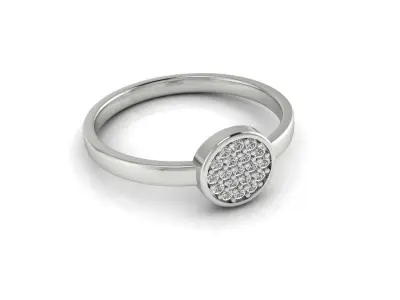 Ring 91b 3D print model